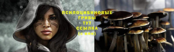 гашиш Пересвет