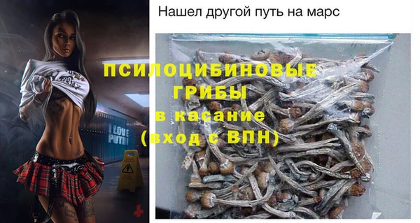 винт Переславль-Залесский