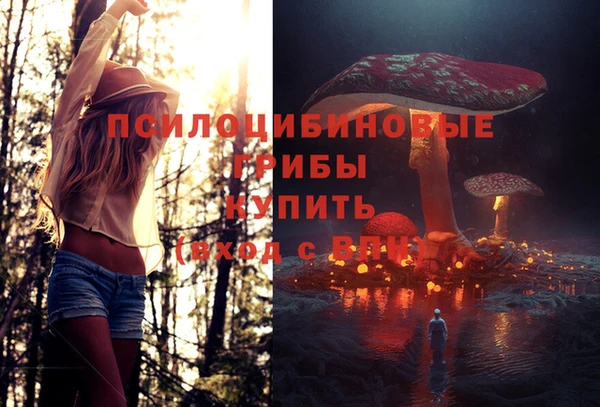 крисы Покачи