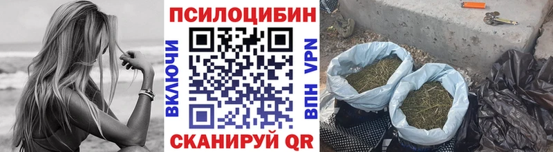 Псилоцибиновые грибы Psilocybe  Купить  Ростов-на-Дону 